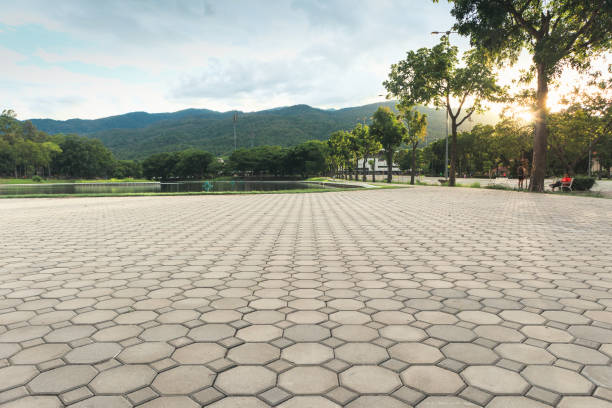 Best Residential Driveway Paver Services  in Belvedere, SC